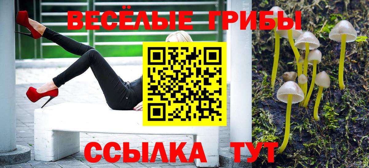 Галлюциногенные грибы Psilocybine cubensis  Галлюциногенные грибы ЛСД  Волжский  Вход с VPN 