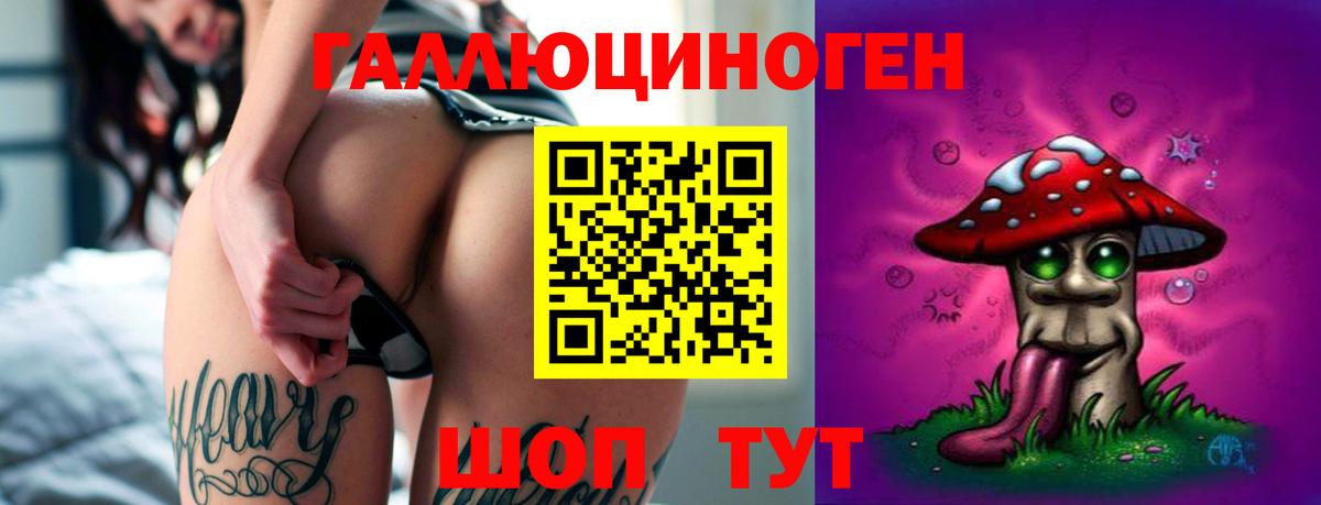 Галлюциногенные грибы Psilocybine cubensis Волжский